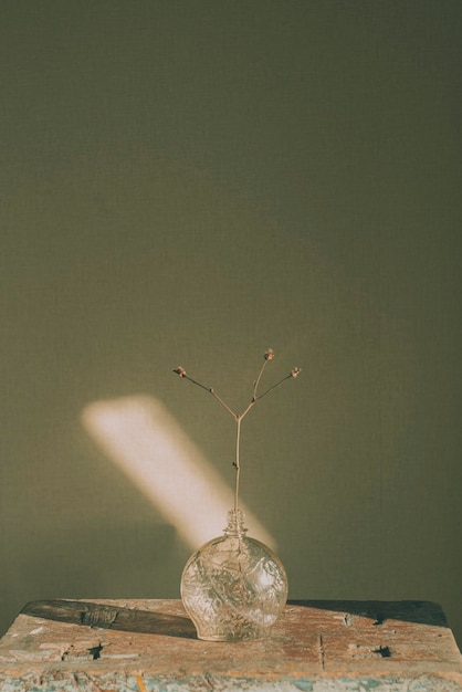 Photographie d'art Nature morte à la vieille bouteille en verre