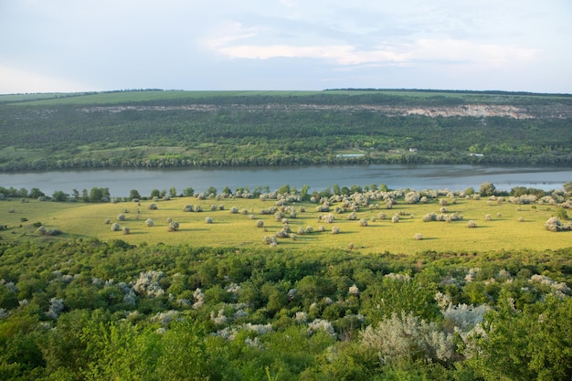 Photographie avec une belle nature de Moldavie en été