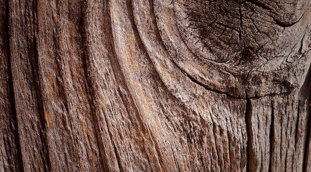 photographie d'une belle surface en bois