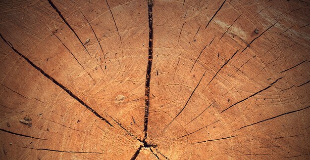 photographie d'une belle surface en bois