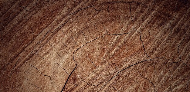 photographie d'une belle surface en bois