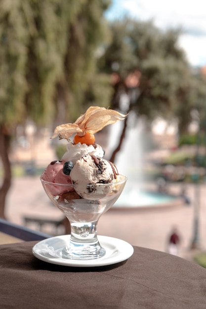 Photo photographie d'un dessert au chocolat avec des fruits et de la crème glacée