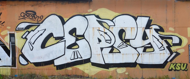 Une photographie d'un dessin graffiti mural détaillé est faite avec de la peinture blanche avec du noir