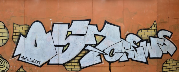 Une photographie d'un dessin graffiti mural détaillé est faite avec de la peinture blanche avec du noir
