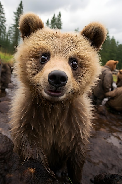 Photographie drôle de selfie d'ours de bébé se bouchent