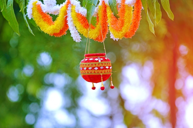 photographie du festival dahi handi en Inde