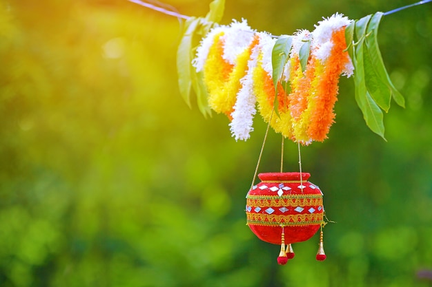 photographie du festival dahi handi en Inde