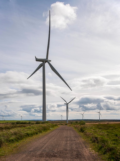 Photographie de l'éolienne et du chemin