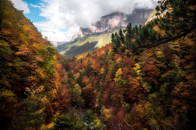 Photographie de la forêt de hêtres en automne dans la vallée d'Ordesa et Monte Perdido,