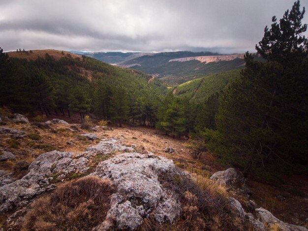 Photographie d'un garçon faisant l'ascension du Pico Morron lors d'une journée de randonnée en montagne à Moncayo