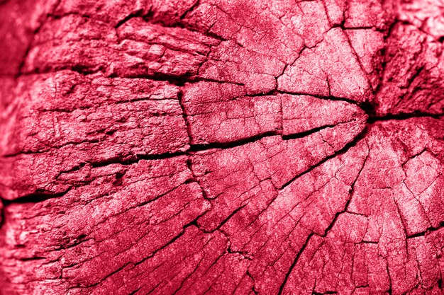 Photographie en gros plan de la vieille couleur rouge structurée de l'arbre fissuré