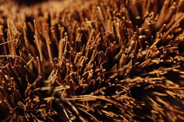 Photographie macro de poils de pinceau brun matériau naturel