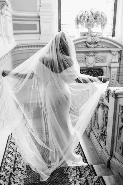 Photographie de la mariée de dos Belle robe de mariée légère