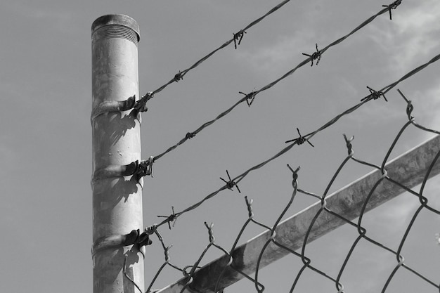 Photographie monochrome d'une clôture de barbelés placée sur un grillage