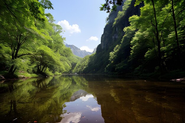 Photo une photographie de la nature