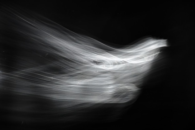 Photographie en noir et blanc d'un objet flou sur un fond noir