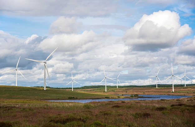 Photographie d'un parc éolien