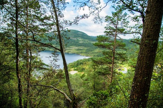 photographie avec paysages et nature en norvège