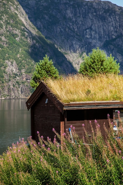 photographie avec paysages et nature en norvège