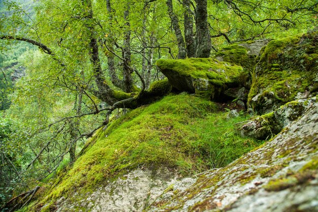 photographie avec paysages et nature en norvège