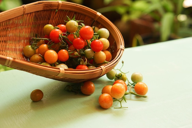 Une photographie d'une petite tomate dans un panier posé sur la table