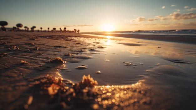 Photographie de plage au coucher du soleil