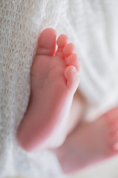 Photo photographie de portrait des petits pieds d'un nouveau-né