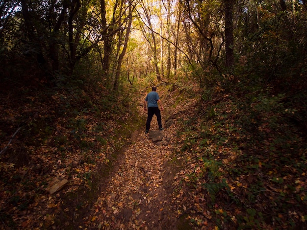 Photographie d'une promenade d'automne dans la forêt de Raso la Cruz dans la Sierra de Algairen à Moncayo.