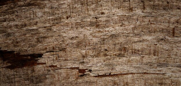 photographie d'une surface en bois