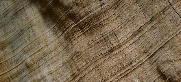 photographie d'une surface en bois