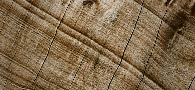 photographie d'une surface en bois