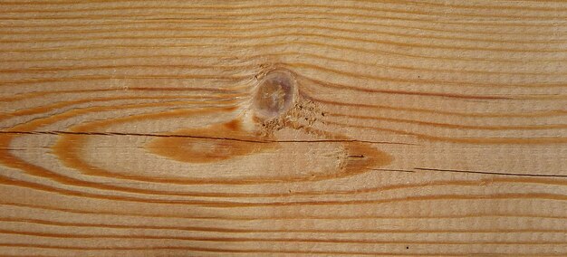 photographie d'une surface en bois