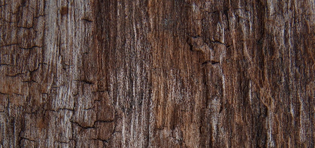 photographie d'une surface en bois