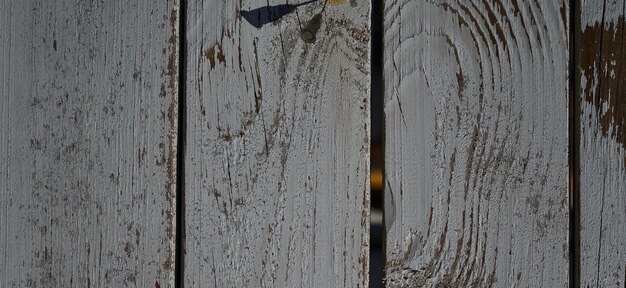 photographie d'une surface en bois