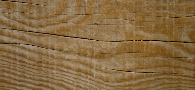 photographie d'une surface en bois