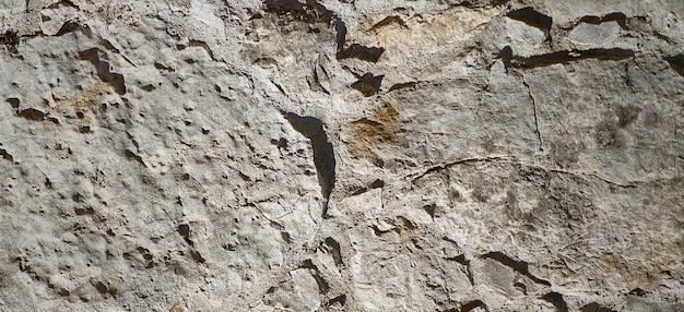 photographie d'une surface en pierre