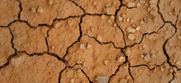 photographie de la surface de la terre