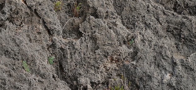 photographie de texture de mur de pierre