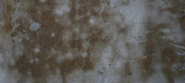 photographie de texture de mur de pierre