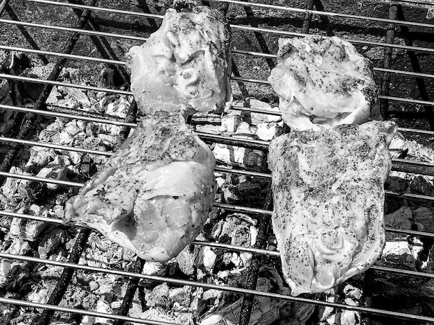 Photographie sur le thème de la belle viande de poulet grillée