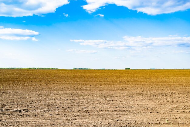 Photographie sur le thème de grands champs agricoles vides pour la récolte biologique