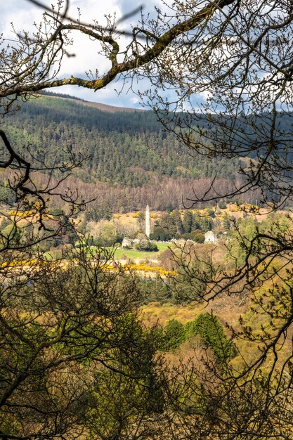 Photographie de la tour ronde de Glendalough entre les branches d'une forêt à Wicklow en Irlande