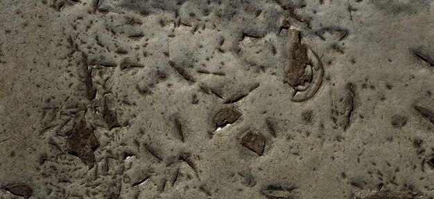 photographie d'une vieille surface en bois