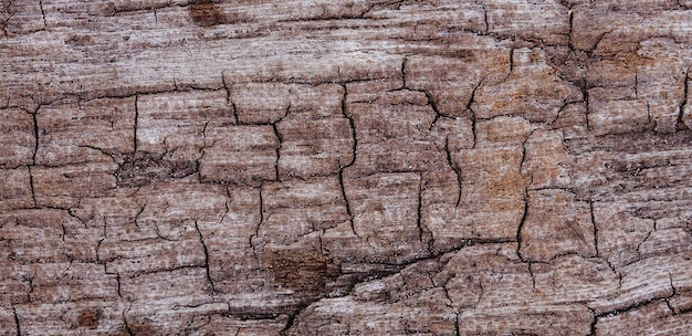 photographie d'une vieille surface en bois