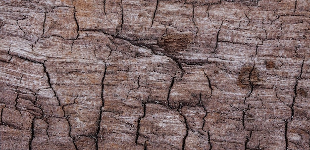 photographie d'une vieille surface en bois