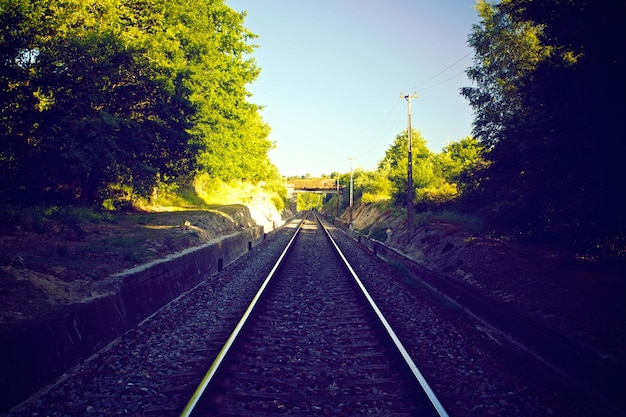 photographie de vue premium du rail de train