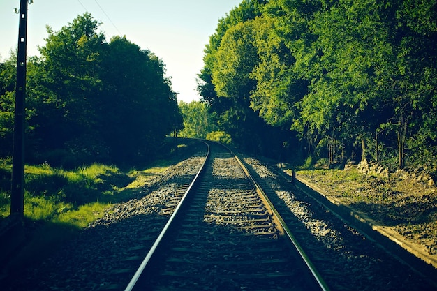 photographie de vue premium du rail de train