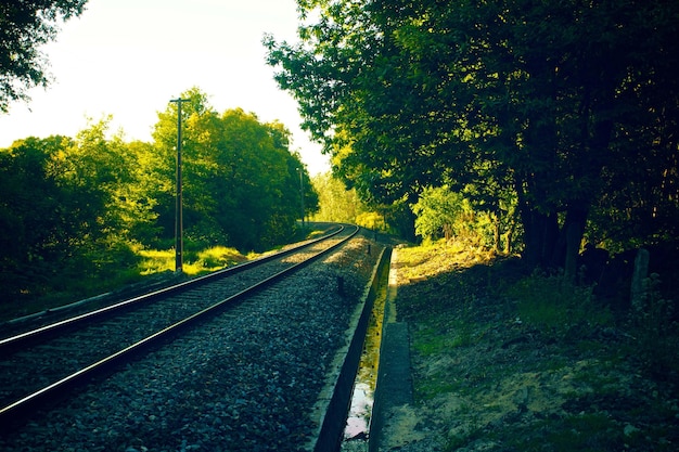 photographie de vue premium du rail de train