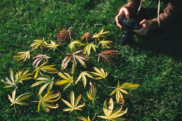 Photographier du cannabis laisse de la marijuana