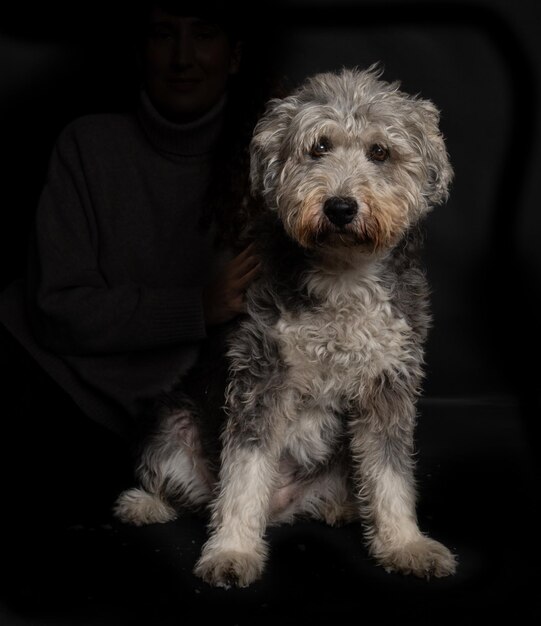 photographies de studio de chien sur fond noir